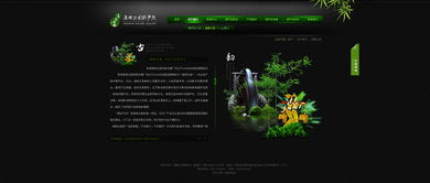 滇南古韻與數字未來 奧遠科技以創新技術服務云南